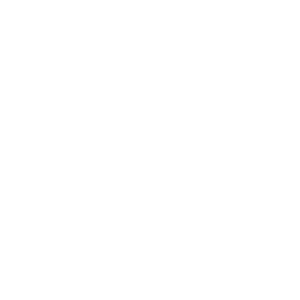 FastBet 500x500_white